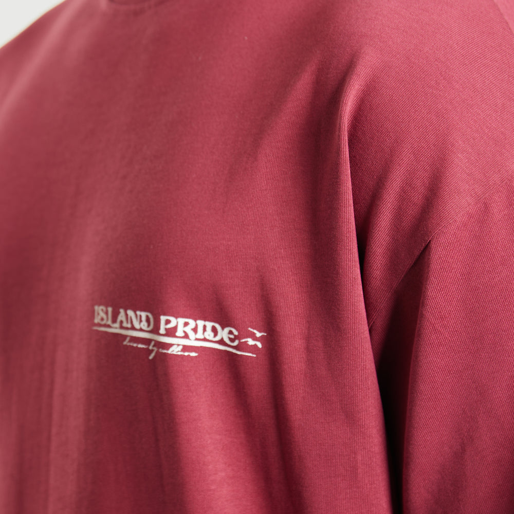 
                      
                        DBC BURGUNDY T-SHIRT
                      
                    